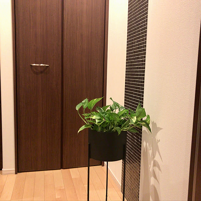 玄関 入り口 ニトリ大好き ニトリ カメラマーク フラワースタンド などのインテリア実例 18 05 21 32 11 Roomclip ルームクリップ