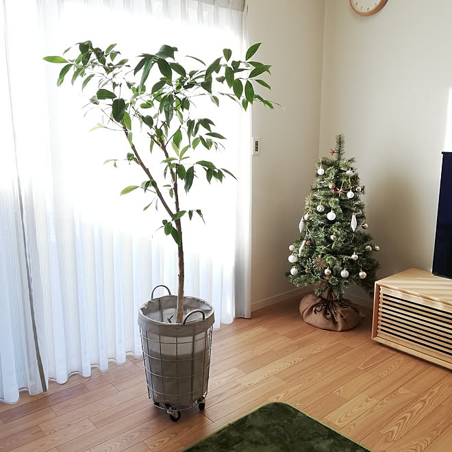 リビング クリスマス クリスマスツリー ナチュラル アマゾンオリーブ などのインテリア実例 12 02 08 22 27 Roomclip ルームクリップ