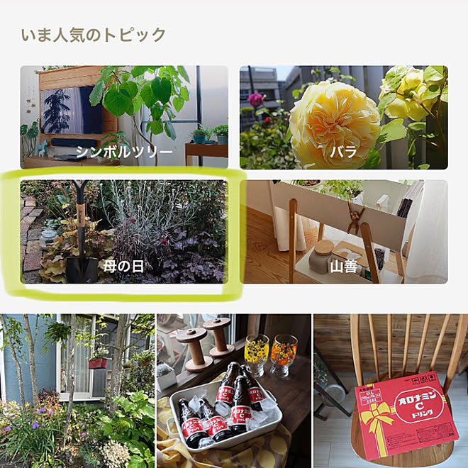 手作りの庭 金魚草ブラックプリンス 母の日 コクリュウ 趣味 などのインテリア実例 21 05 11 13 23 45 Roomclip ルームクリップ