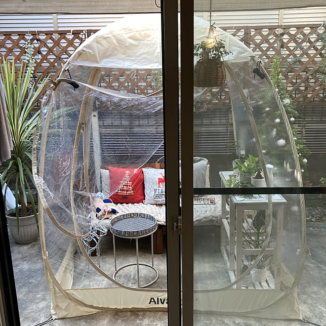 Alvantor ライト ライトアップ クリスマス ゴールドクレストでツリー などのインテリア実例 21 11 10 08 23 Roomclip ルームクリップ