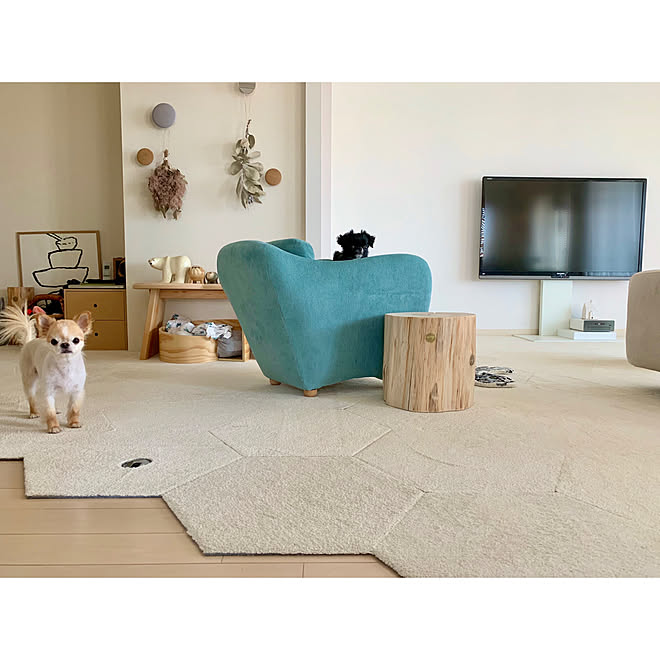 Idee ペット ペットと暮らすインテリア 北欧 ポスター などのインテリア実例 08 27 13 41 17 Roomclip ルームクリップ