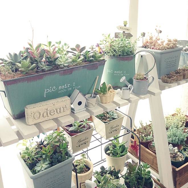 リビング セリア Sulut いいね フォローありがとうございます ブリキ缶 などのインテリア実例 16 06 09 16 38 04 Roomclip ルームクリップ