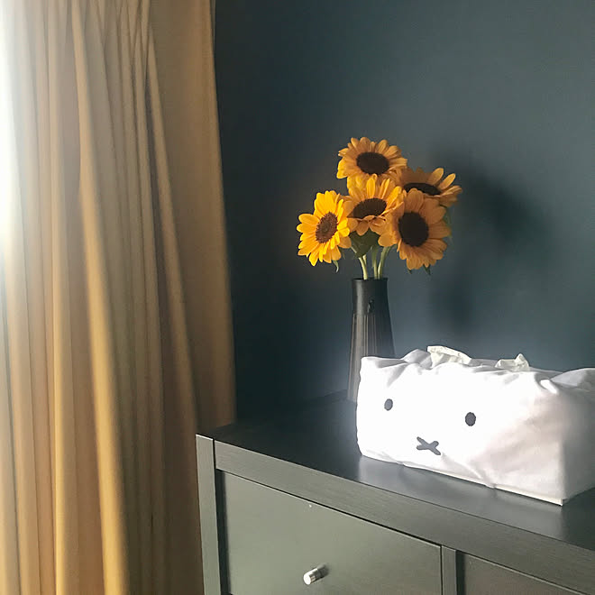 ミッフィー 夏のなごり花 マスタードイエロー 濃紺の壁 向日葵 などのインテリア実例 21 09 23 19 03 24 Roomclip ルームクリップ