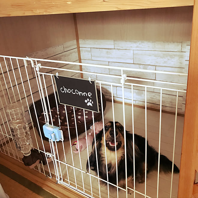 部屋全体 わんこスペース 押入れ改造 カニンヘンダックス クッションフロア などのインテリア実例 18 05 30 14 17 24 Roomclip ルームクリップ