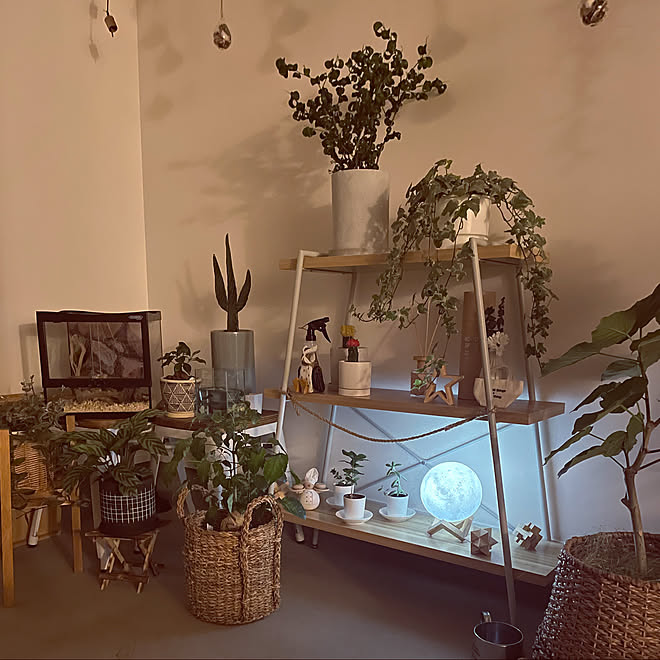 ボタニカルインテリア 建売住宅 吹き抜けのある家 観葉植物 ナチュラル などのインテリア実例 22 05 01 22 46 46 Roomclip ルームクリップ