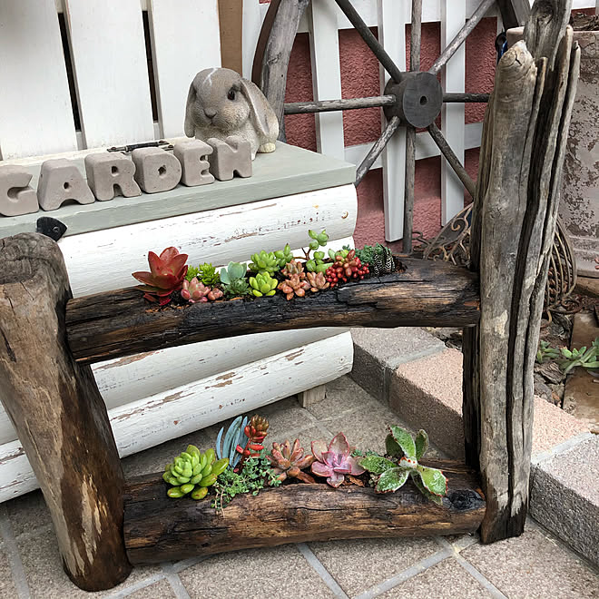 多肉植物のある暮らし 多肉寄せ植え 多肉植物 流木オブジェ 流木diy などのインテリア実例 03 27 13 58 00 Roomclip ルームクリップ
