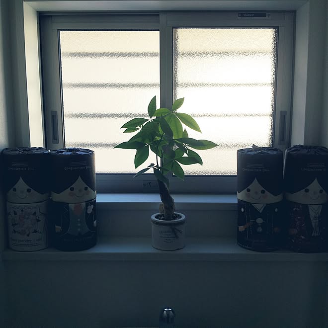 バス トイレ 観葉植物 パキラ 空気清浄効果 トイレットペーパー などのインテリア実例 16 11 12 12 29 11 Roomclip ルームクリップ バス トイレ 観葉植物 パキラ 空気清浄効果 トイレットペーパー などのインテリア実例 16 11 12 12 29 11 Roomclip ルームクリップ