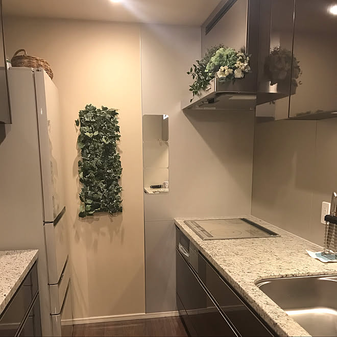 レンジフード上ディスプレイ Ikeaのフェイクグリーン フェイクグリーン インテリアグリーン キッチンのインテリア実例 02 06 31 21 Roomclip ルームクリップ