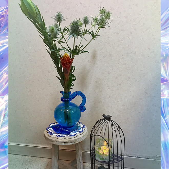 カインズホーム 花びん 雑貨 サリュ 雑貨 植物のある暮らし などのインテリア実例 21 06 24 21 42 23 Roomclip ルームクリップ