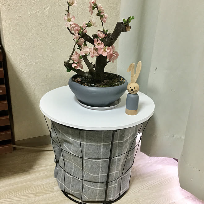 リビング 100均リメイク 鉢スタンドリメイク ダイソー 鉢植え などのインテリア実例 18 03 01 07 53 51 Roomclip ルームクリップ リビング 100均リメイク 鉢スタンドリメイク ダイソー 鉢植え などのインテリア実例 18 03 01 07 53 51 Roomclip ルームクリップ