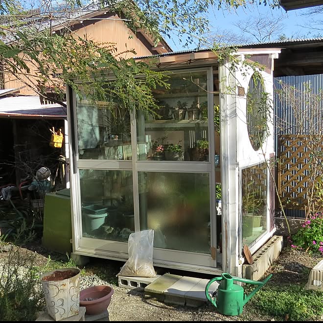 多肉植物 温室diy 灯油ランプ 玄関 入り口のインテリア実例 21 12 15 09 24 41 Roomclip ルームクリップ