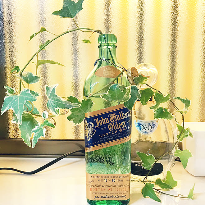 あきびん ウイスキーボトル シンプルライフ 観葉植物 キッチンのインテリア実例 19 10 03 19 17 05 Roomclip ルームクリップ あきびん ウイスキーボトル シンプルライフ 観葉植物 キッチンのインテリア実例 19 10 03 19 17 05 Roomclip ルームクリップ