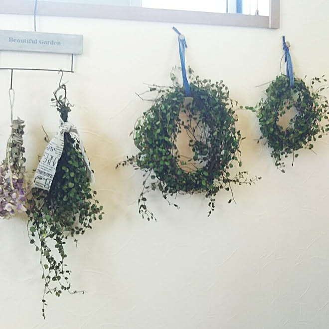 壁 天井 ナチュラルカントリー ドライフラワー ワイヤープランツ リース 手作りのインテリア実例 17 08 07 35 27 Roomclip ルームクリップ