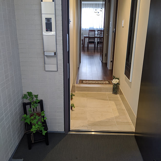 玄関 入り口 中古マンション購入 観葉植物 フェイクグリーンのインテリア実例 08 30 16 22 47 Roomclip ルームクリップ