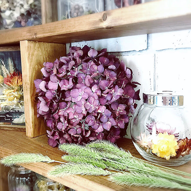 ドライフラワーのある暮らし ネコジャラシ ドライフラワーコーナー 紫陽花シリカゲルドライフラワー シリカゲルドライフラワー作り などのインテリア実例 19 06 11 22 45 59 Roomclip ルームクリップ