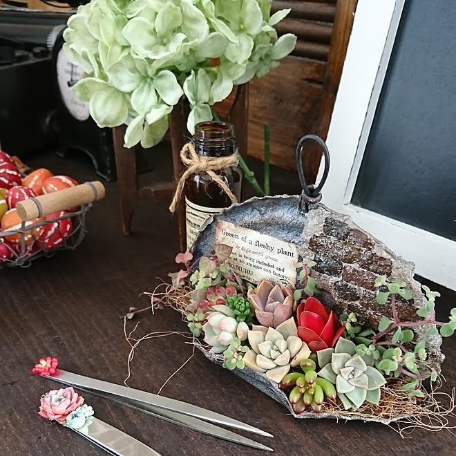 机 ミシン台テーブルのディスプレイ フェイク多肉のピンセット 多肉の寄せ植え 多肉植物寄せ植え などのインテリア実例 19 01 22 14 29 37 Roomclip ルームクリップ