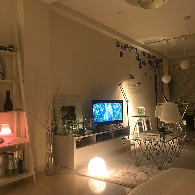 ペット ダイジェスト 少年 モノトーン インテリア 照明 フィクション つまずく ヨーロッパ