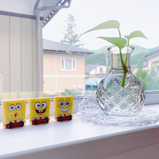 ポトス水栽培 セリア新商品 スポンジボブ テトラフィビッツ みなさんの優しさに感謝 などのインテリア実例 21 07 04 07 23 46 Roomclip ルームクリップ