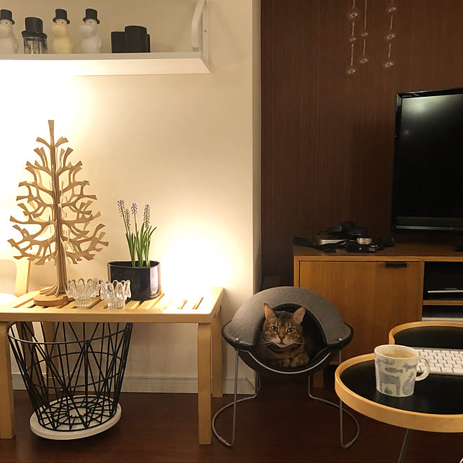 リビング Artek 北欧ヴィンテージ家具 猫のいる部屋 猫のいる日常 などのインテリア実例 18 01 29 03 04 37 Roomclip ルームクリップ