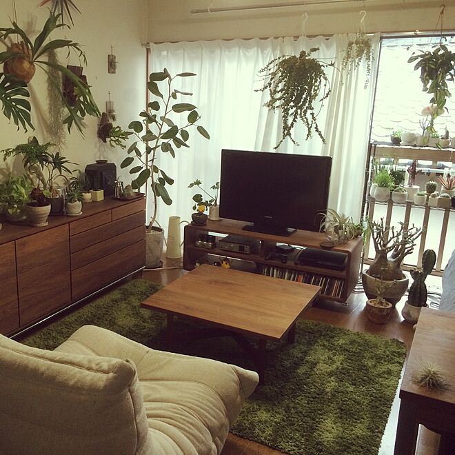部屋全体 観葉植物 植物 サボテン 一人暮らし などのインテリア実例 15 07 05 16 37 18 Roomclip ルームクリップ