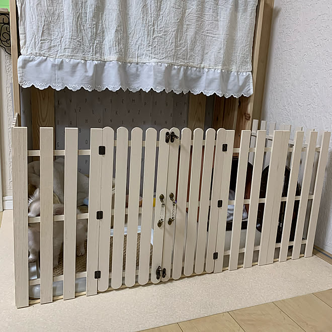 100均diy 犬の部屋 犬のいる暮らし チワワ ペット などのインテリア実例 21 01 23 04 42 15 Roomclip ルームクリップ