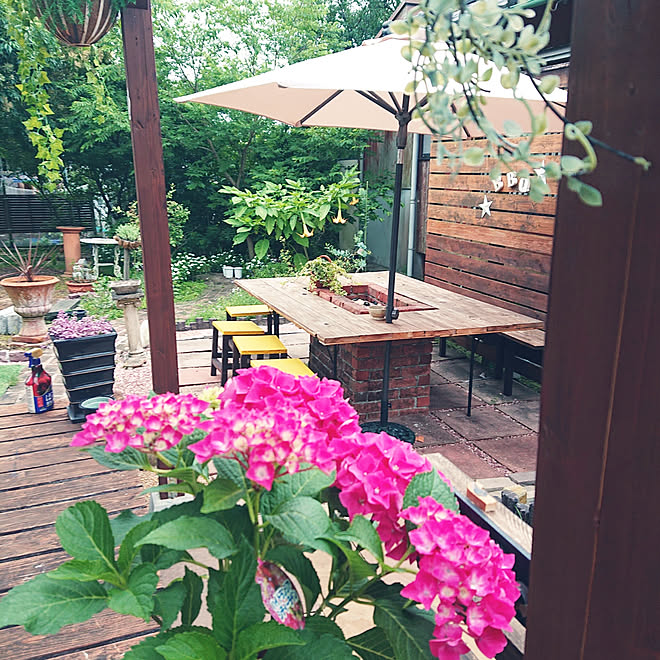 花のある暮らし Diy 紫陽花 庭 夏のインテリア実例 19 06 18 06 49 44 Roomclip ルームクリップ