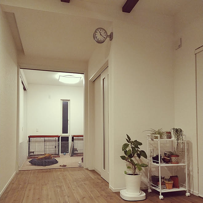 リビング 狭小住宅 平屋 犬と暮らす 梁 などのインテリア実例 19 02 14 23 23 45 Roomclip ルームクリップ リビング 狭小住宅 平屋 犬と暮らす 梁 などのインテリア実例 19 02 14 23 23 45 Roomclip ルームクリップ