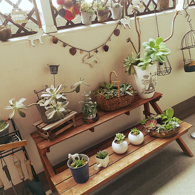 マンションインテリア ベランダガーデニング 多肉植物 植物 棚のインテリア実例 18 09 21 11 10 38 Roomclip ルームクリップ