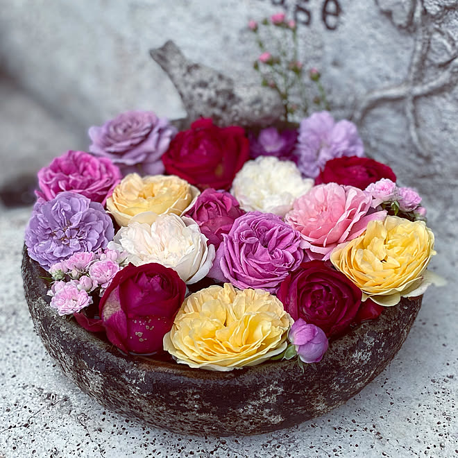 モルタル造形 バードバス 花遊び 庭 バラ などのインテリア実例 22 05 21 08 48 29 Roomclip ルームクリップ