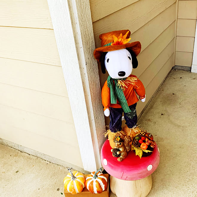 秋 秋色インテリア スヌーピー 玄関 入り口のインテリア実例 22 09 22 21 54 08 Roomclip ルームクリップ