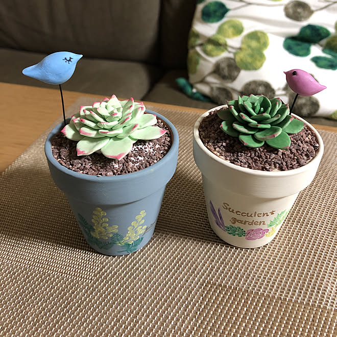 樹脂粘土 Minne 粘土多肉 No Green No Life 多肉粘土 などのインテリア実例 19 03 06 23 44 45 Roomclip ルームクリップ