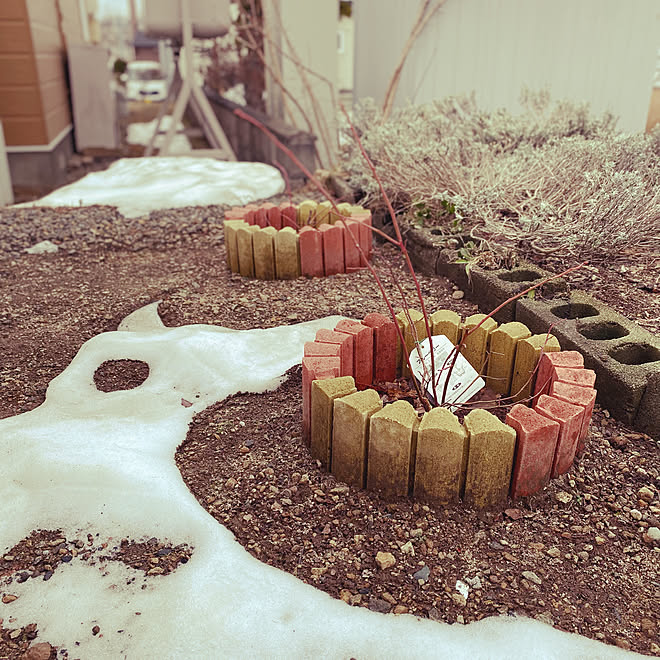 レンガの花壇 レンガ花壇 庭 ブルーベリーの木 ブルーベリー などのインテリア実例 22 04 12 09 15 34 Roomclip ルームクリップ