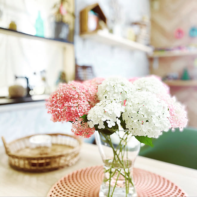Salut の雑貨 ナチュラルキッチンの雑貨 Ikea 花瓶 アナベル 紫陽花 などのインテリア実例 21 06 16 13 30 22 Roomclip ルームクリップ Salut の雑貨 ナチュラルキッチンの雑貨 Ikea 花瓶 アナベル 紫陽花 などのインテリア実例 21 06 16 13 30 22 Roomclip ルームクリップ