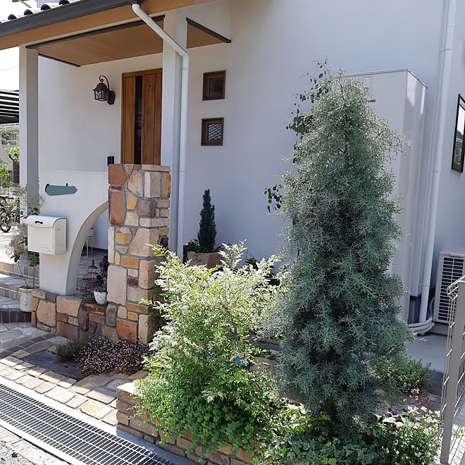 玄関 入り口 コニファー ブルーアイス シルバープリペッド 花壇 などのインテリア実例 05 23 14 31 Roomclip ルームクリップ