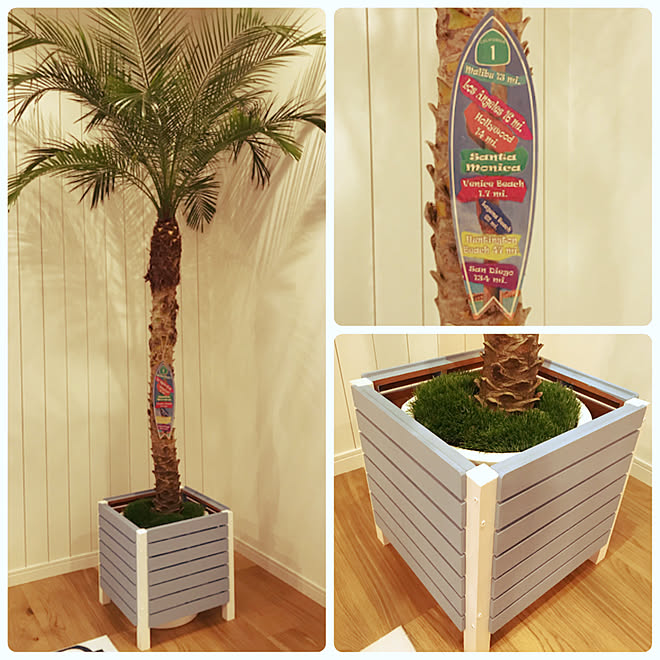 鉢カバー Diy ヤシの木 西海岸 アメリカ などのインテリア実例 08 18 55 58 Roomclip ルームクリップ 鉢カバー Diy ヤシの木 西海岸 アメリカ などのインテリア実例 08 18 55 58 Roomclip ルームクリップ