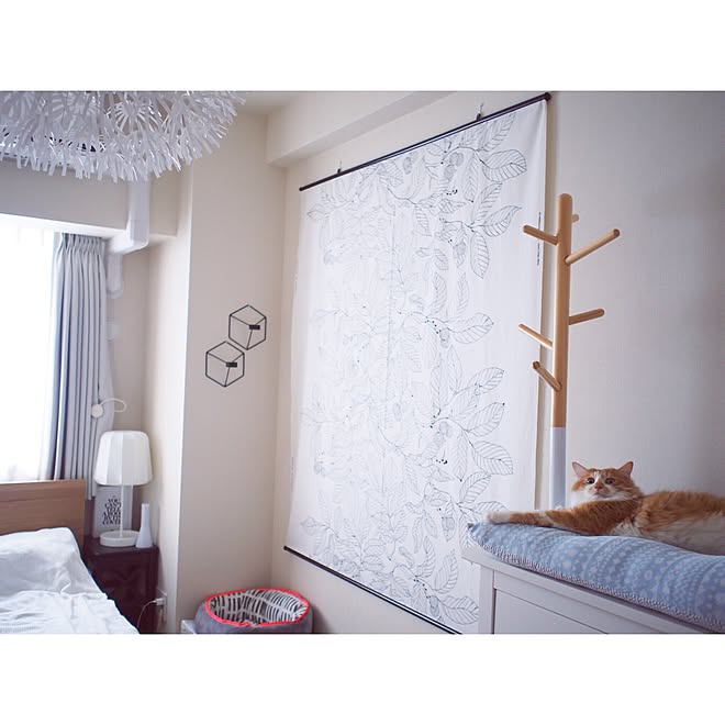 壁/天井/タペストリー/寝室/ファブリック タペストリー/IKEA ファブリック...などのインテリア実例 - 2016-07-25 14:02:45