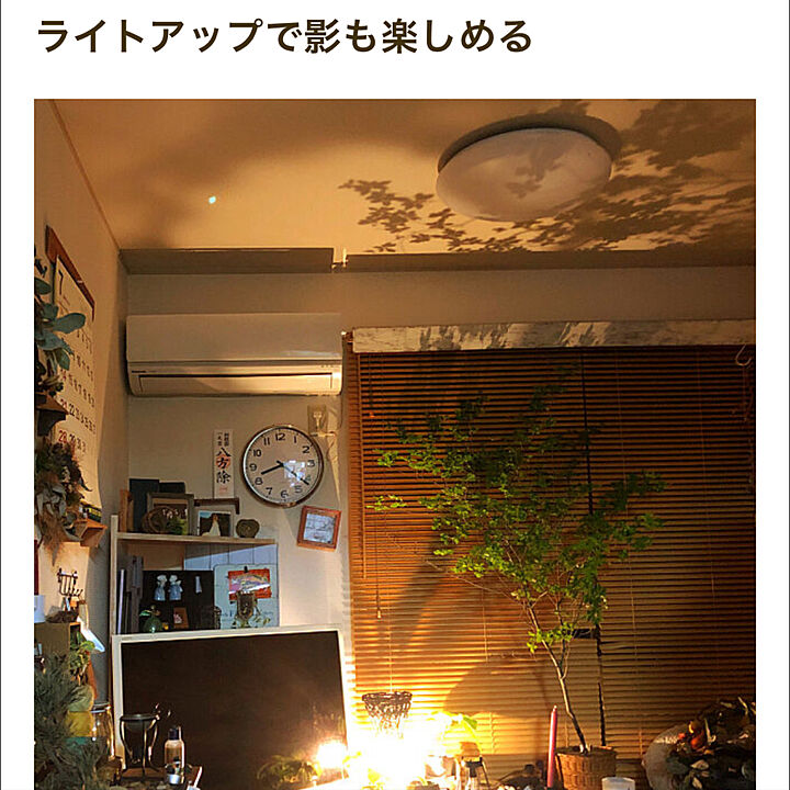 Tomoko.kさんの写真