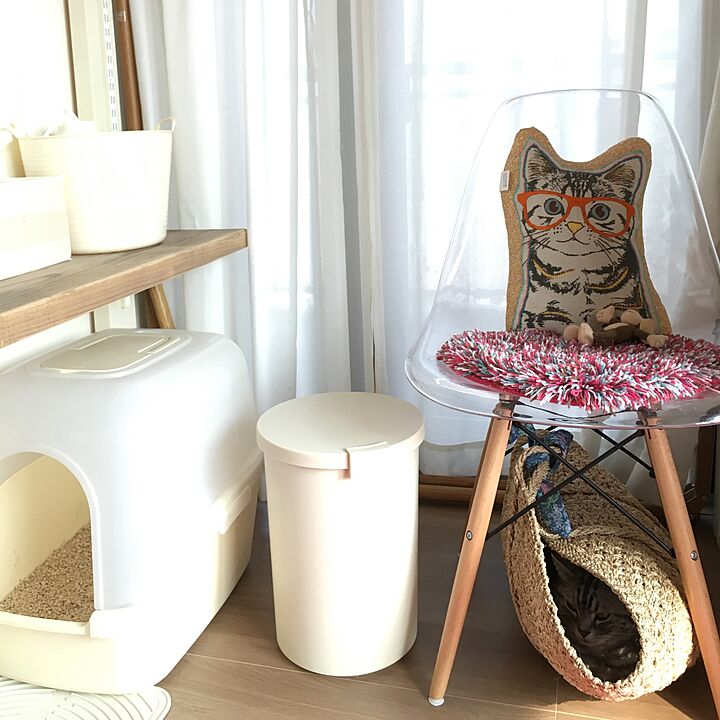 ゴミ箱 猫と暮らすのおすすめ商品とおしゃれな実例 ｜ RoomClip
