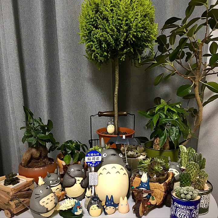 トトロ ネコバス植木鉢 ジブリ ガーデニング インテリア トトロ ネコバス植木鉢 ジブリ ガーデニング インテリア