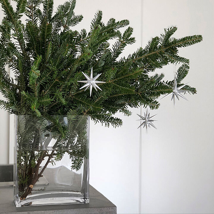 クリスマスツリー 本物のモミの木のおすすめ商品とおしゃれな実例
