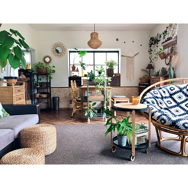 植物のある暮らし/BOHO/リビングインテリア/eくらしプロジェクト/ボタニカルインテリア&hellip;などのインテリア実例 20210605