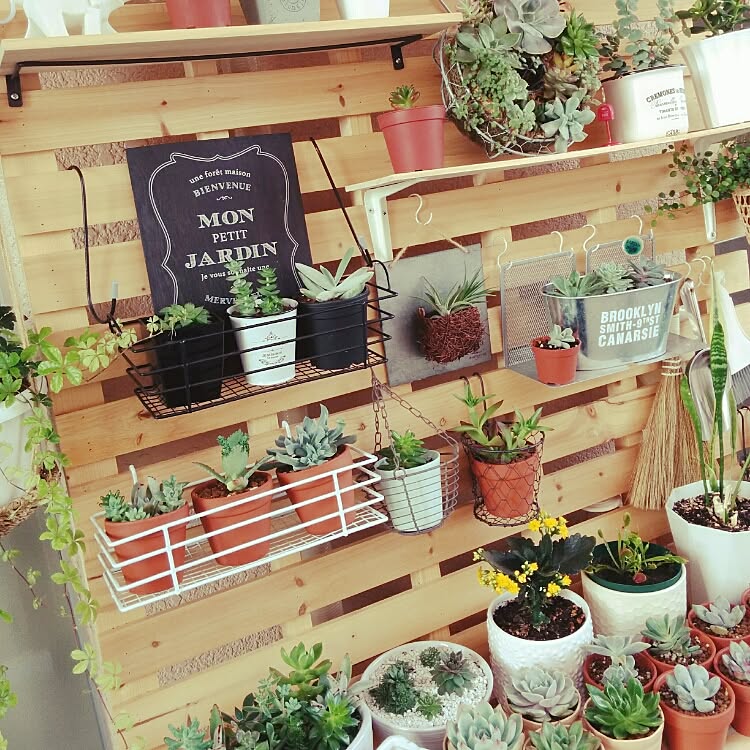 棚/DIY/すのこ/多肉植物/手作り&hellip;などのインテリア実例 20160614 234201 ｜ RoomClip（ルームクリップ）