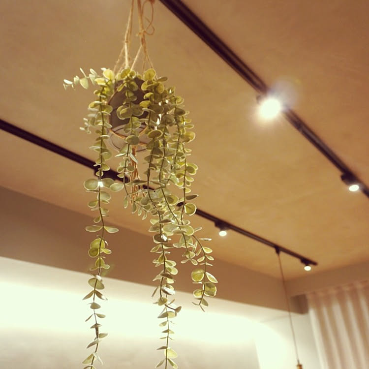 植物のある暮らし/IKEA/ダクトレール+スポットライト/ダクトレール 照明/プラントハンガーのインテリア実例 - 2021-03-21 12 ...