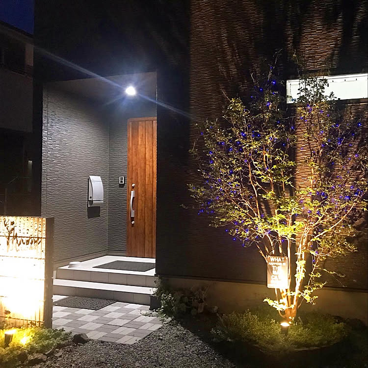 ヒメシャラ/お庭ライトアップ/シンボルツリー/ライトアップ/ガーデン...などのインテリア実例 20200426 201050