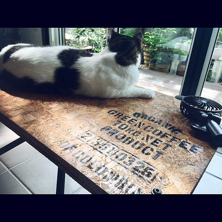 OSB合板/焼印風/廃材DIY/ねこのいる日常/欲しい物は作る♪&hellip;などのインテリア実例 20190711 094210