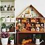 My Shelf/ベランダ/succulent plants/多肉寄せ植え…などのインテリア実例 - 2016-09-30 23:48:09 | RoomClip(ルームクリップ) 女性で、3LDKのMy Shelf/ベランダ/succulent plants/多肉寄せ植え…などについてのインテリア実例を紹介。