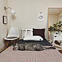 Bedroom/IKEAのクッションカバー/模様替え/観葉植物のある部屋/猫部…などのインテリア実例 - 2018-10-18 17:13:05 | RoomClip(ルームクリップ) 1RのBedroom/IKEAのクッションカバー/模様替え/観葉植物のある部屋/猫部…などについてのインテリア実例を紹介。