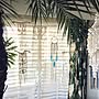 On Walls/フェニックスロベレニー/シェルシャンデリア/BOHO…などのインテリア実例 - 2016-08-06 11:20:32 | RoomClip(ルームクリップ) 女性で、4LDKのOn Walls/フェニックスロベレニー/シェルシャンデリア/BOHO…などについてのインテリア実例を紹介。
