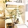 フラワーベース/IKEA/北欧xDIY/後ほどゆっくりお邪魔します♡/いいね&フォローありがとうございます☆…などのインテリア実例 - 2017-03-19 07:58:20 | RoomClip(ルームクリップ) 女性で、2LDKのフラワーベース/IKEA/北欧xDIY/後ほどゆっくりお邪魔します♡/いいね&フォローありがとうございます☆…などについてのインテリア実例を紹介。