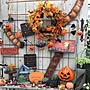 わが家ではないです。/オニヅカバイオシステム/ハロウィン/ハロウィンディスプレイ/お出かけ…などのインテリア実例 - 2016-09-22 21:44:20 | RoomClip(ルームクリップ) 女性で、Otherのわが家ではないです。/オニヅカバイオシステム/ハロウィン/ハロウィンディスプレイ/お出かけ…などについてのインテリア実例を紹介。